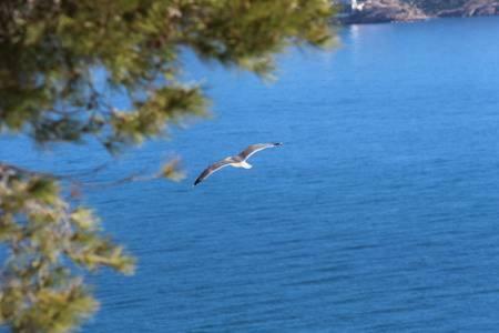 El Barco Διαμέρισμα Μπένιντορμ Εξωτερικό φωτογραφία